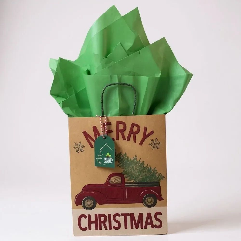 W20. Set of 5-All in 1 Christmas Gift Bags - Picture 1 of 3
